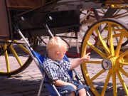 Wohin in Wien mit Kindern?