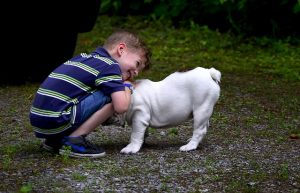 Hund und Kind positiver Effekt