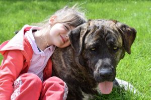 Hund und Kind