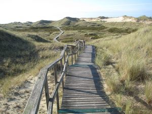 Pfad in den Dünen auf der Insel Amrum