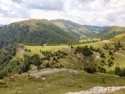 Nockberge