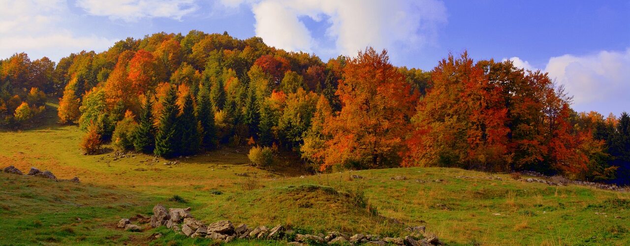 Tipps für den Herbstausflug mit Kindern