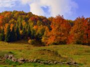 Tipps für den Herbstausflug mit Kindern