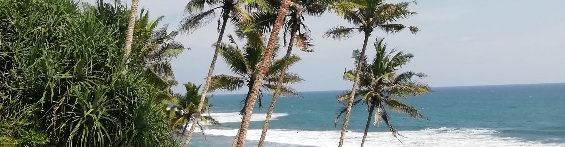 Sri Lanka Reise