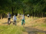 Bewegung und Sport